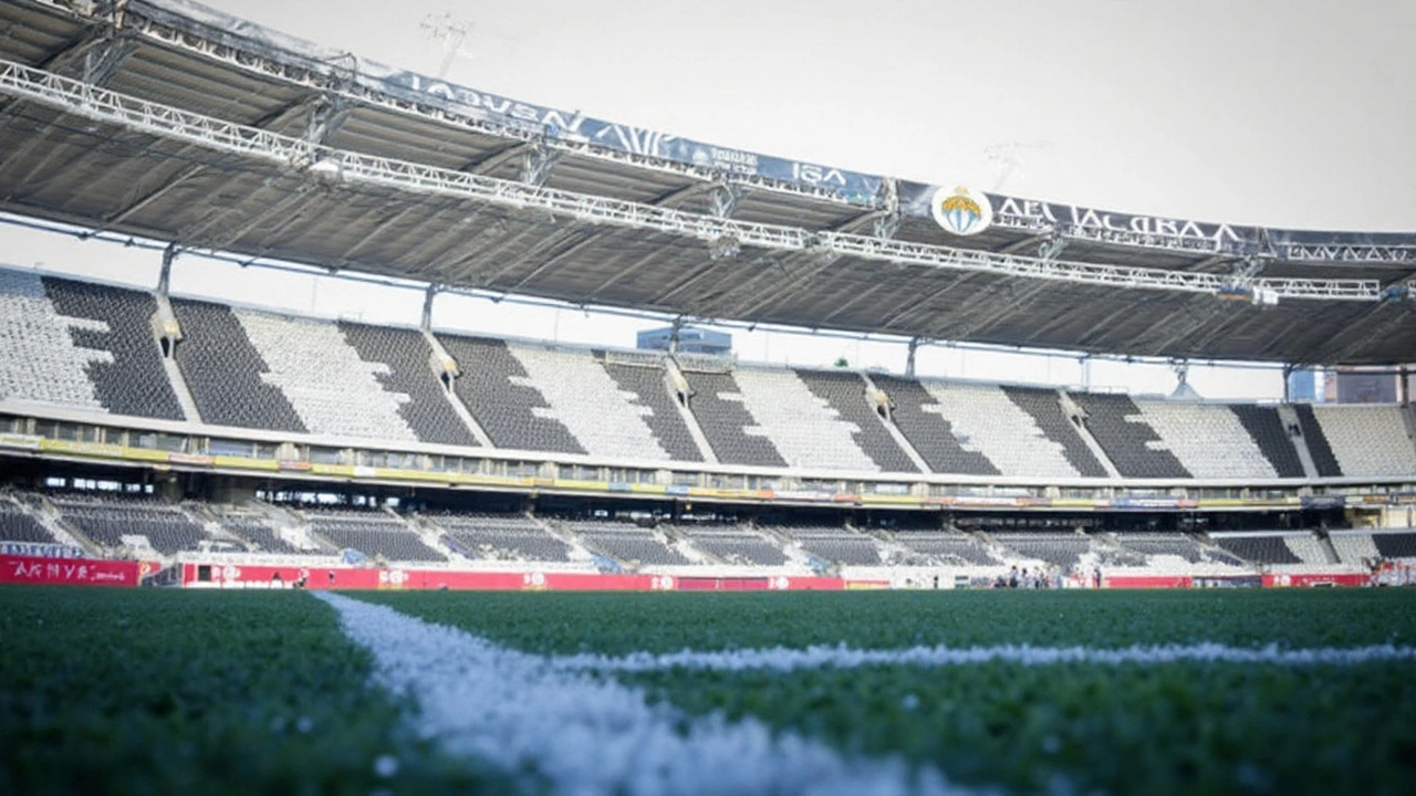 Botafogo x Palmeiras: Rivalidade acirrada marca duelo do Brasileirão no Nilton Santos